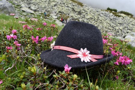 Hat rhododendron
