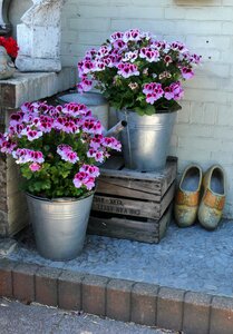 Deco season natural