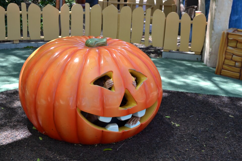 Clearance harvest halloween