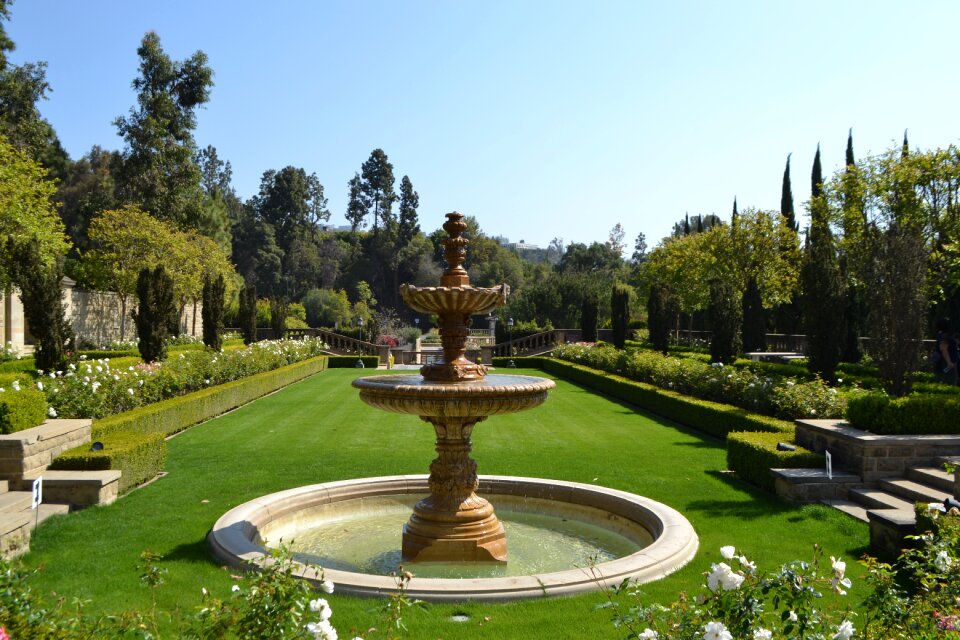 In the summer of flower garden flora