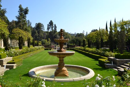 In the summer of flower garden flora photo