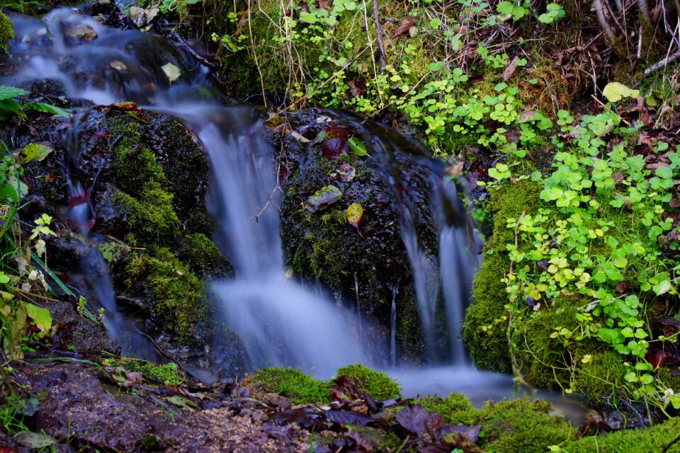 Waterfall moss green photo