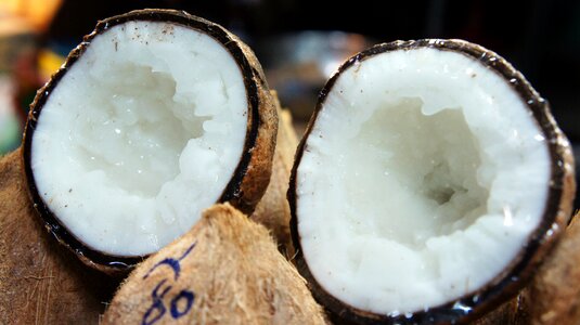 Kopyor kathi coconut