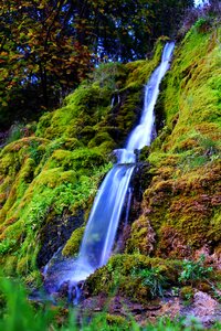 Waterfall moss green photo