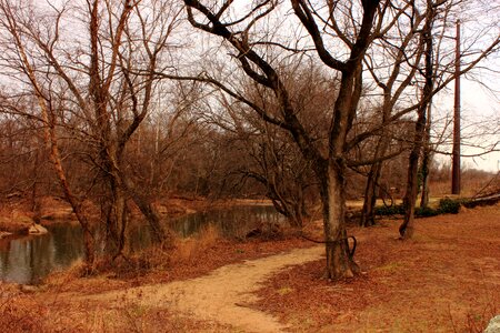 Road warm peaceful