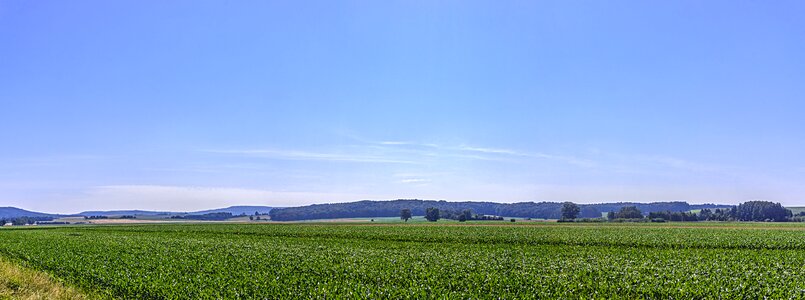 Green land panorama
