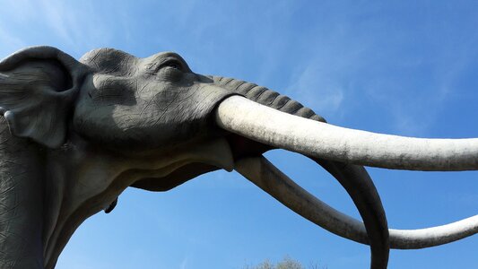 Nature prehistoric times landscape