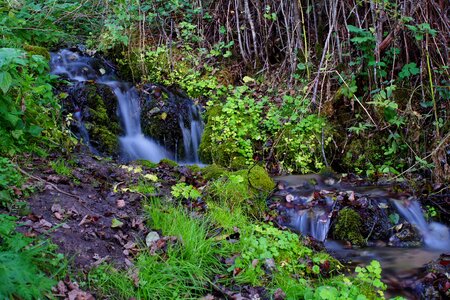 Waterfall moss green photo