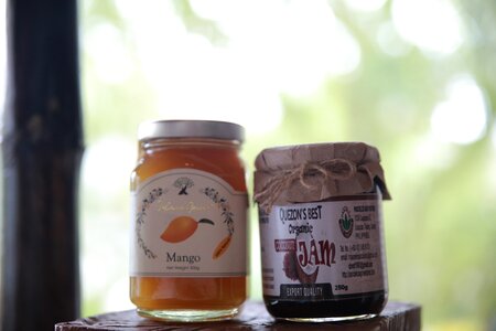 Fruit preserves mango jam mangojam