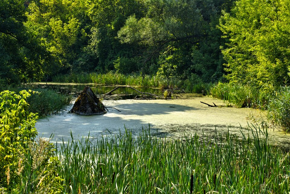Podlasie poland landscape