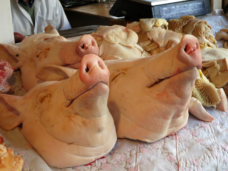 Market animal pig heads