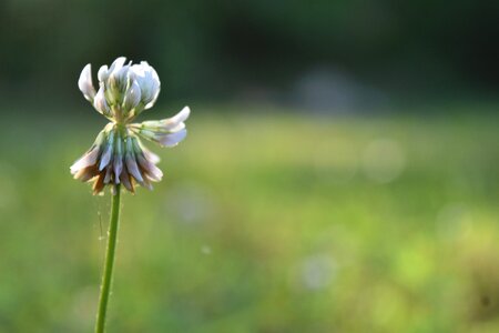 Outdoor nature