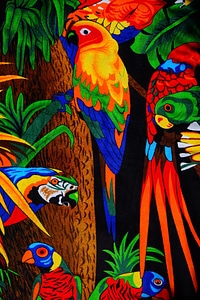 Parakeet birds towel