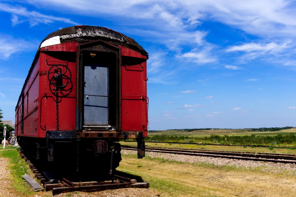 Nature summer locomotive
