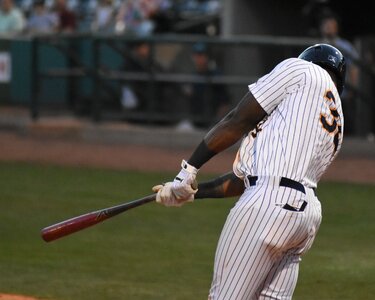 Professional swing bat