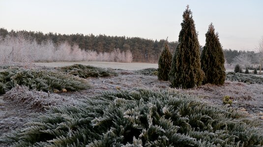 Frost village nature