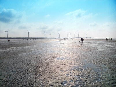 Wetlands green power windmill ㄝ