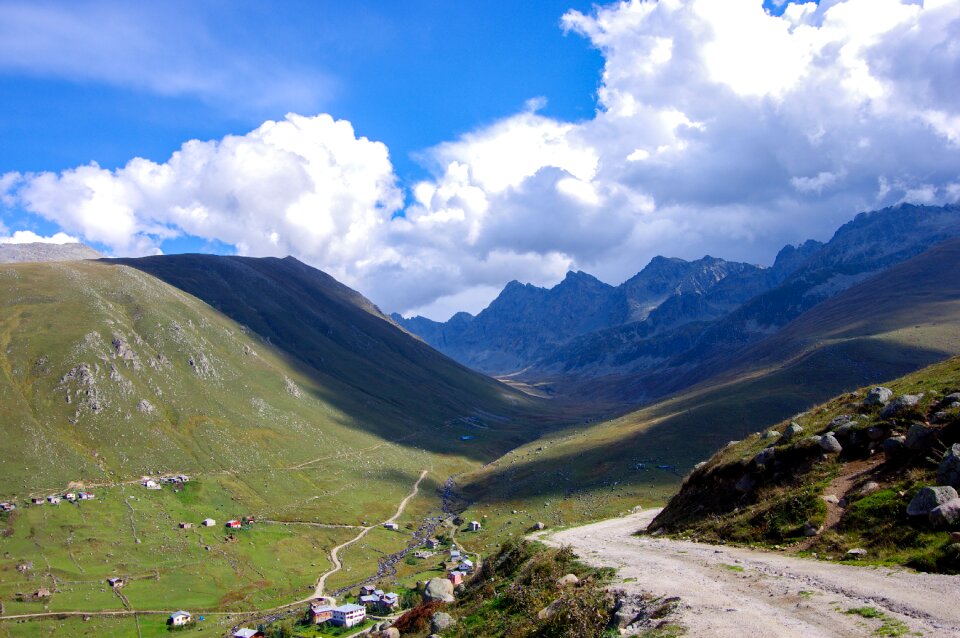 Highland rize flowering plateau