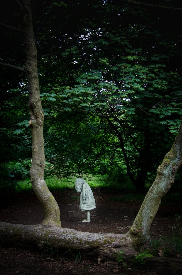 Sculpture wood nature