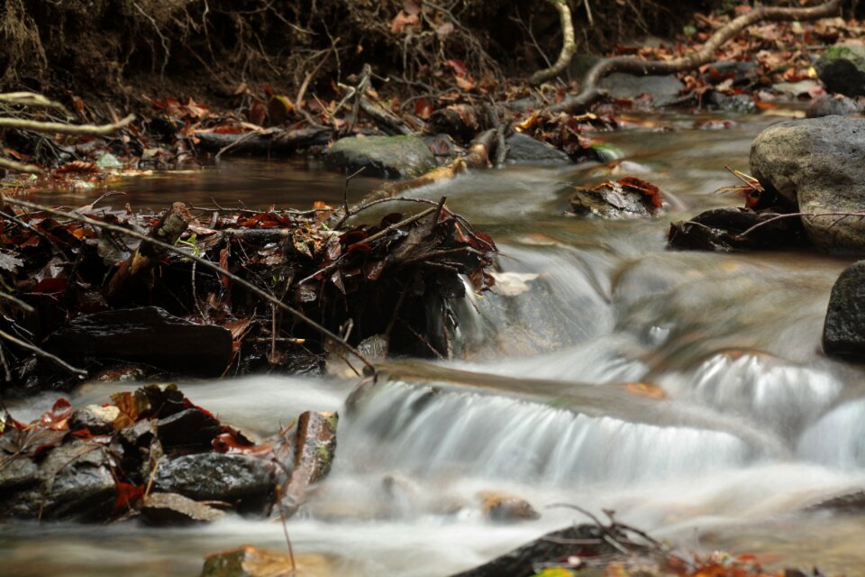 Peace gentleness landscape