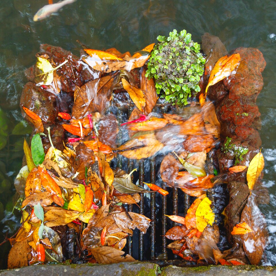Constipation water grid