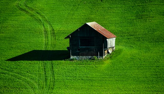 Pasture summer green