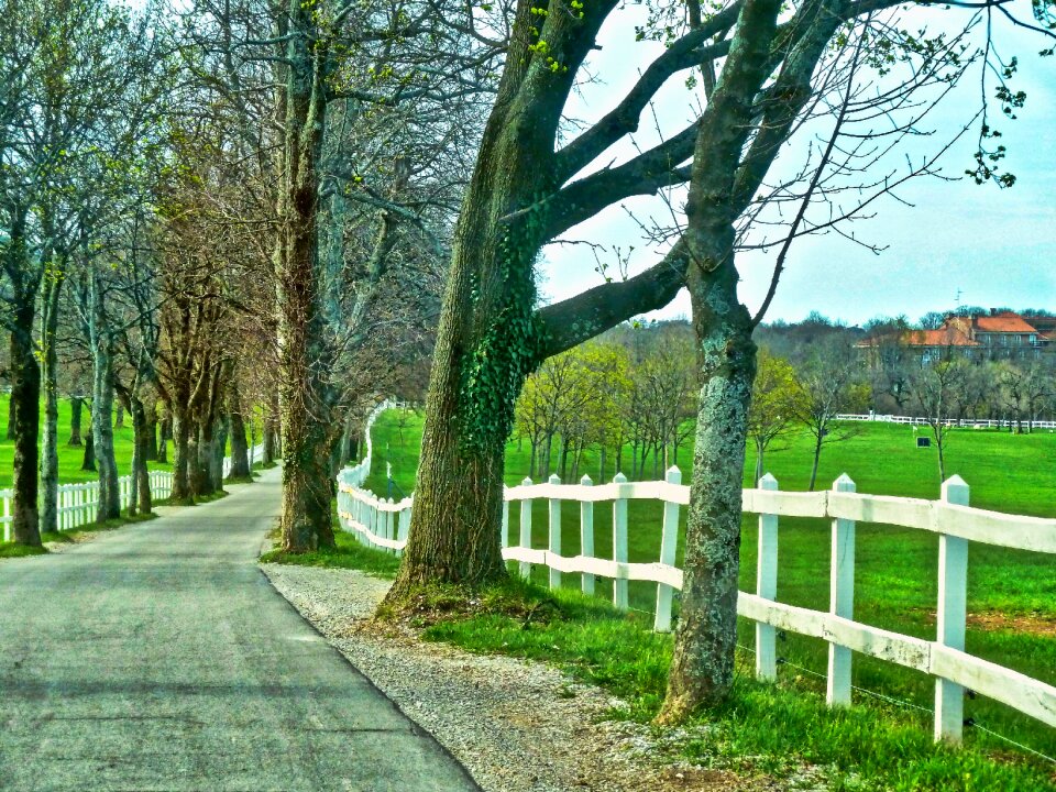 Farm countryside road