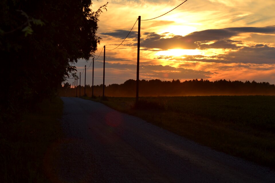 Nature summer sun