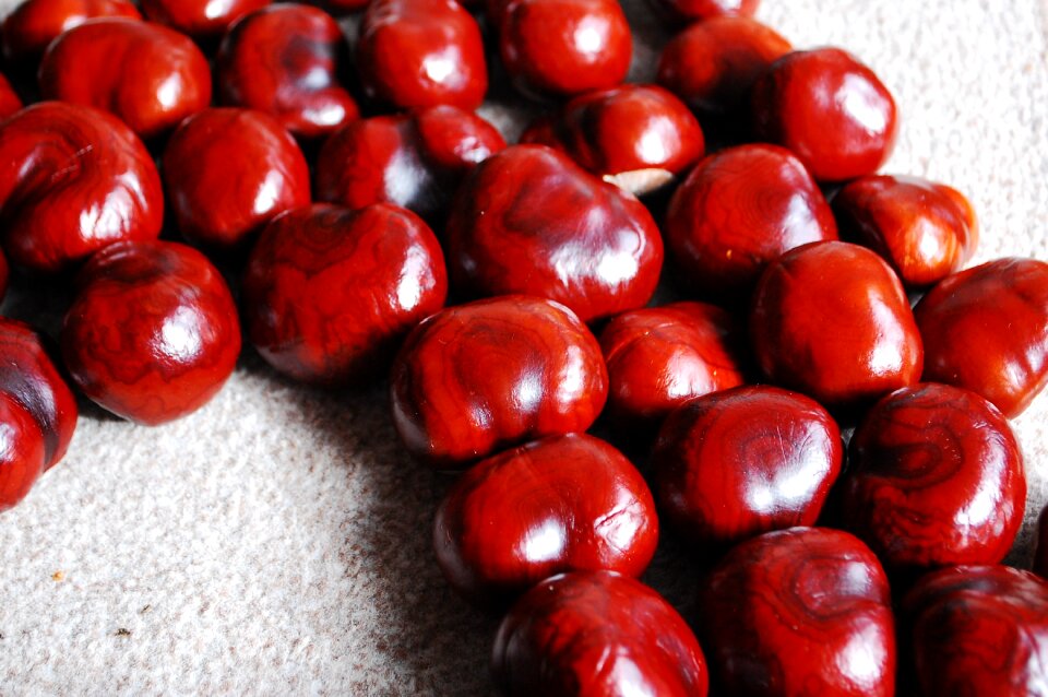 Nuts still life red