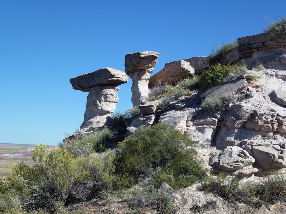 Desert landscape scenic