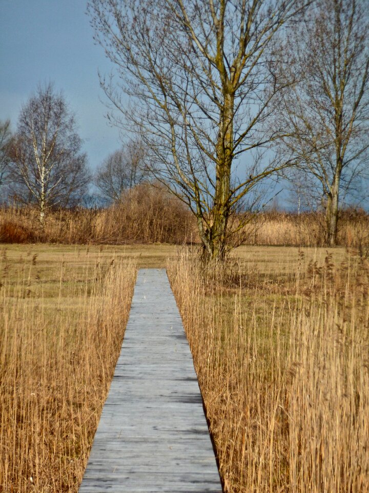 Environment nature landscape
