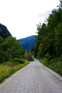 Path rize background