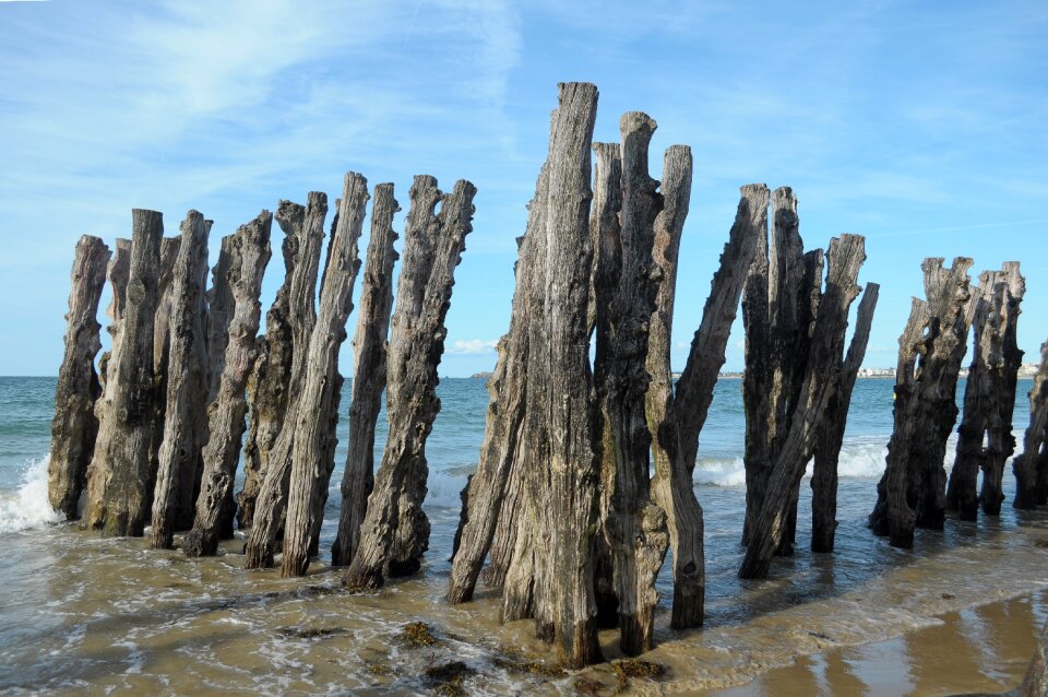 Sea beach coast