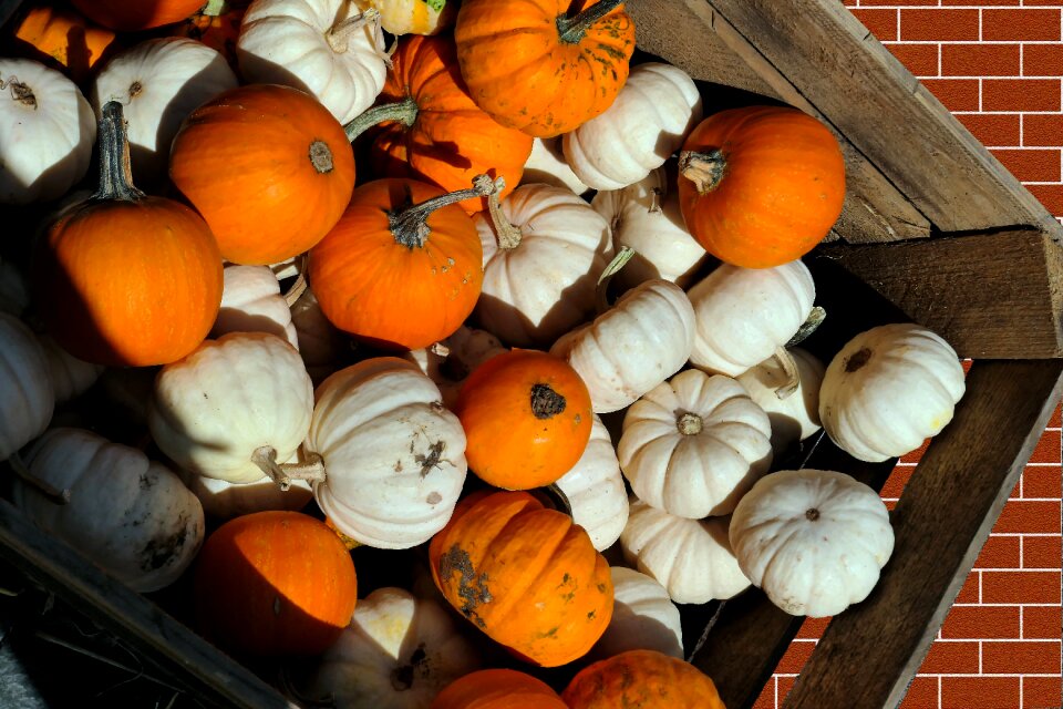 Kabocha pumpkin soup fruit