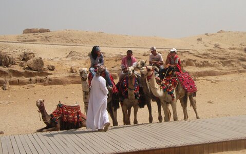 Bedouin egypt camel rider photo