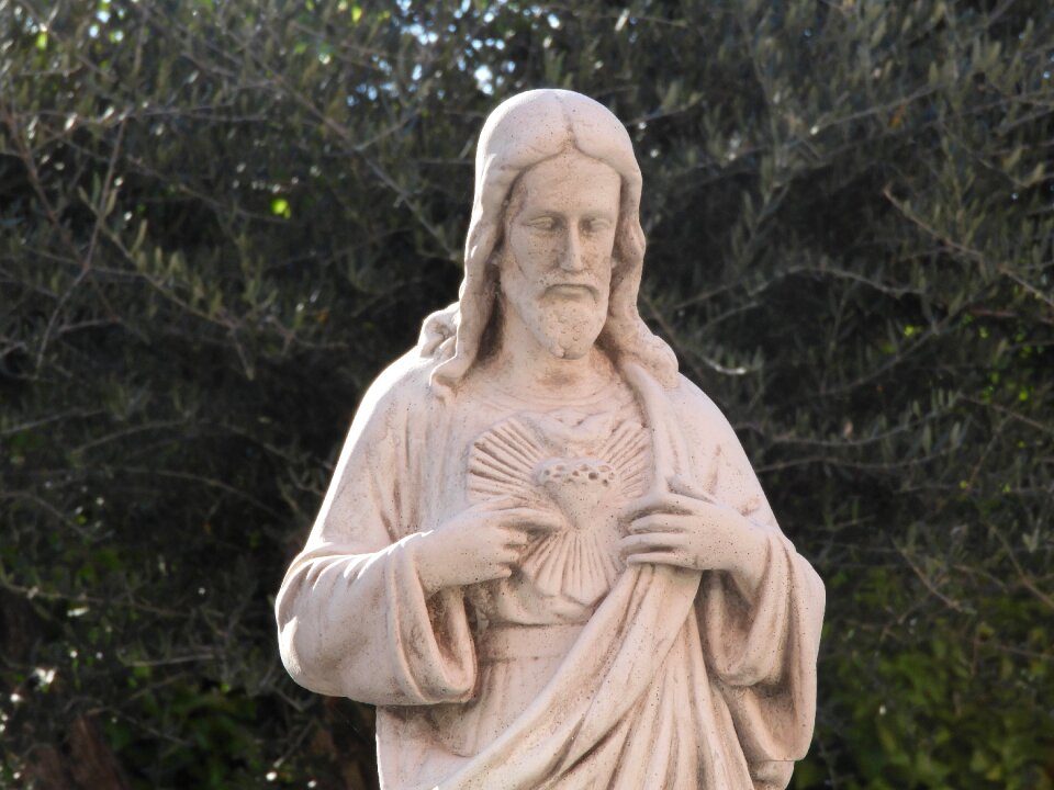 Sacred heart jesus catholic