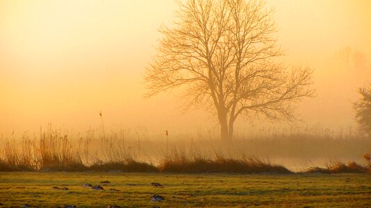 Atmospheric landscape nature
