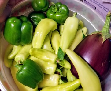 Peppers garden