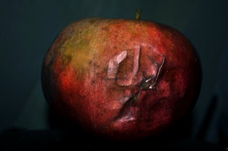Rot damaged dark