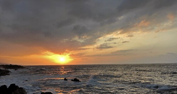 Sea landscape selva marine
