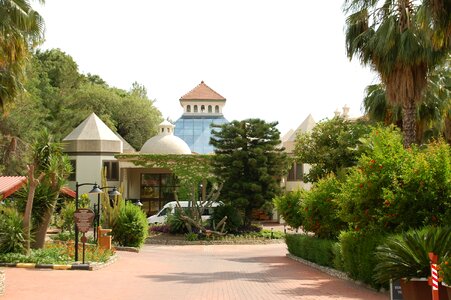Resort side bloom