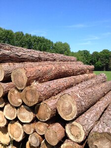 Stacked up growing stock storage photo