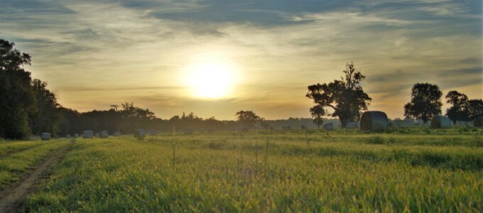 Farmland nature landscape