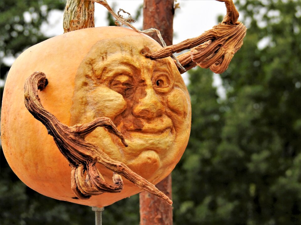 Autumn decoration nature