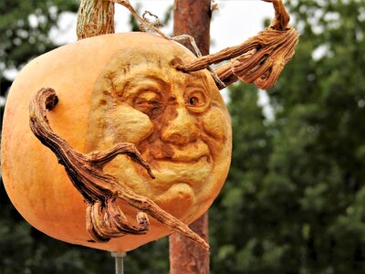 Autumn decoration nature