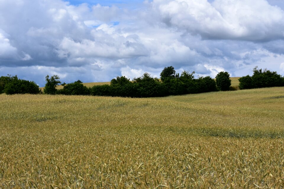 Summer kaszuby village
