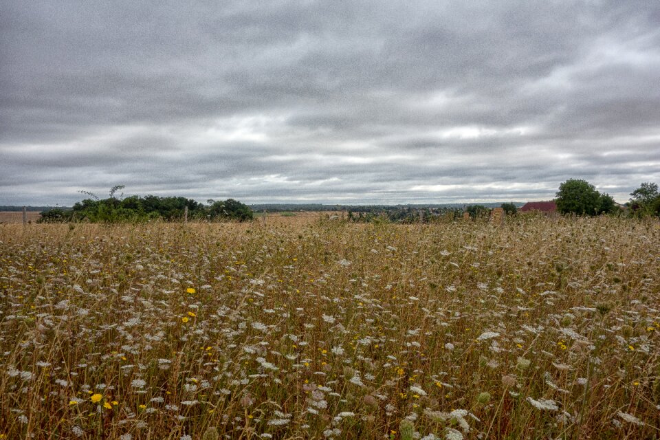 Prairie sky summer photo