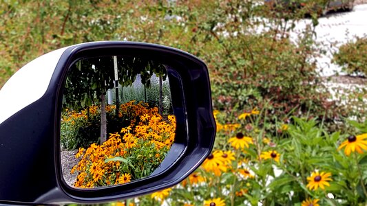 Car mirror spring flowers photo