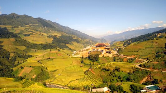 Rice mountain vietnam