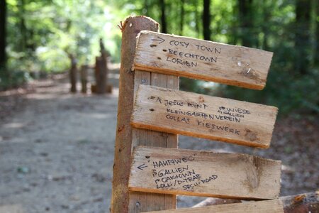 Jesus point hambach forest shield